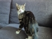 user picture2