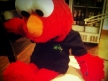 user picture