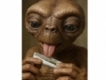 user picture2