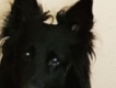 user picture2