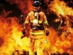 user picture1