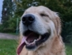 user picture3