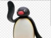 user picture2