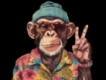 user picture2