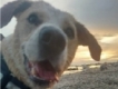 user picture3