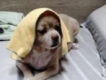 user picture2