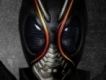 user picture1