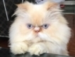 user picture3