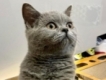 user picture2
