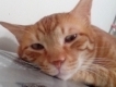 user picture2
