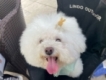 user picture2
