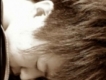 user picture2