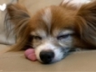 user picture2