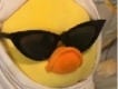 user picture3