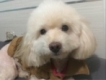 user picture2