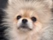 user picture1