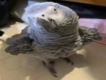 user picture2