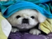 user picture2