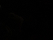 user picture1