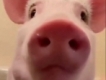 user picture2
