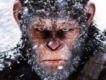 user picture2