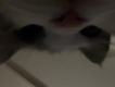 user picture2