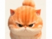 user picture1