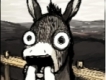 user picture2