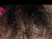 user picture1