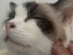 user picture2