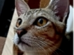 user picture3