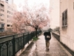 user picture3