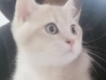user picture2
