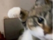 user picture3