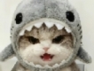 user picture3
