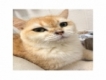 user picture1