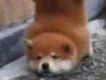 user picture2
