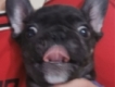 user picture3