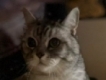 user picture1
