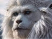 user picture3
