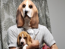 user picture