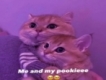 user picture1