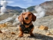 user picture2