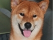 user picture1