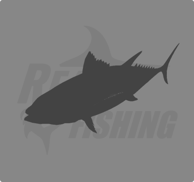 REAL FISHING