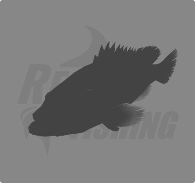 REAL FISHING