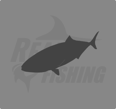 REAL FISHING
