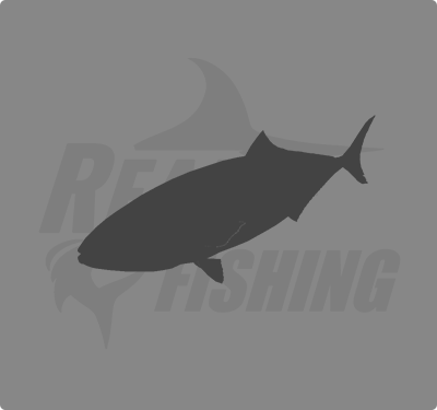 REAL FISHING