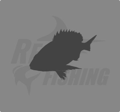 REAL FISHING