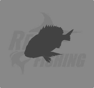 REAL FISHING